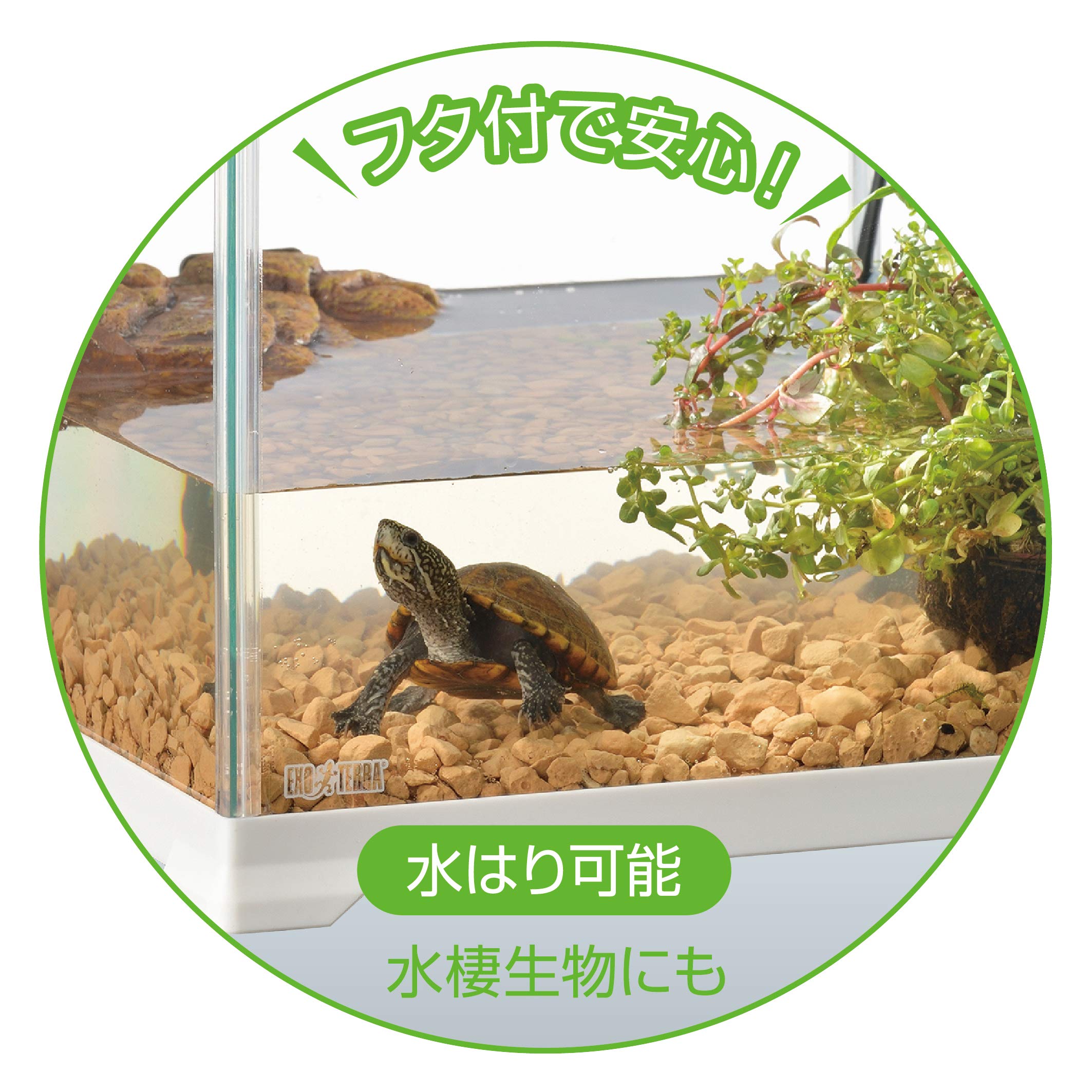 Amazon.co.jp: エキゾテラ GEX EXOTERRA レプテリアホワイト
